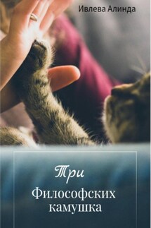 Три философских камушка - Алинда Ивлева