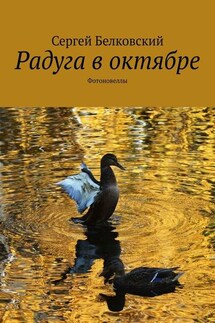 Радуга в октябре. Фотоновеллы - Сергей Белковский