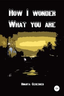 How I wonder what you are - Никита Селезнев