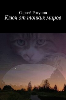 Ключ от тонких миров - Сергей Рогунов