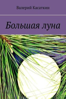 Большая луна - Валерий Касаткин