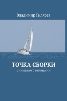 Точка сборки. Внимание о внимании - Владимир Гилясев