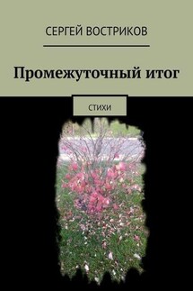Промежуточный итог. Стихи - Сергей Востриков