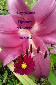 Привет, человек! Рассказы - Ирина Кукушкина