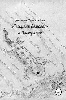 Из жизни домового в Австралии - Эвелина Тимофеева