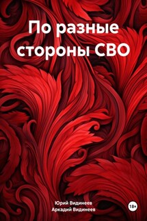 По разные стороны СВО - Юрий Видинеев, Аркадий Видинеев