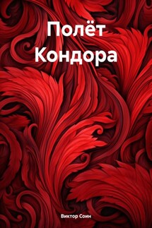 Полёт Кондора - Виктор Соин