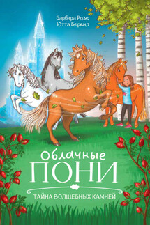 Облачные пони. Тайна волшебных камней - Барбара Розе