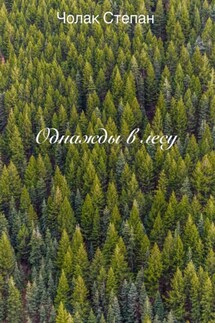 Однажды в лесу - Степан Чолак