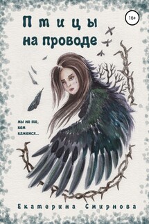 Птицы на проводе - Екатерина Смирнова