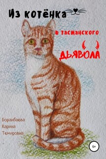 Из котёнка в тасманского дьявола - Карина Боранбаева