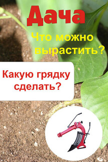 Что можно вырастить? Какую грядку сделать? - Илья Мельников