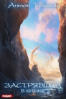Застрявший. Книга 3. Застрявший в Кишке - ИДДК