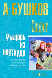 Рыцарь из ниоткуда - Александр Бушков