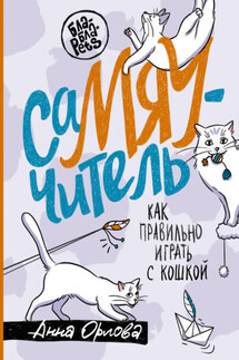 СаМЯУчитель. Как правильно играть с кошкой - Анна Орлова