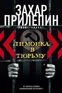 «Лимонка» в тюрьму (сборник) - Захар Прилепин
