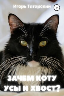 Зачем коту усы и хвост? - Игорь Татарский