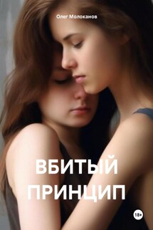 ВБИТЫЙ ПРИНЦИП - Олег Молоканов