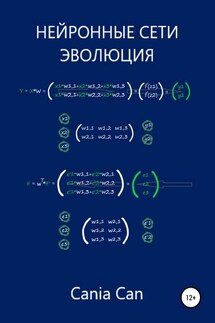 Нейронные сети. Эволюция - Каниа Кан