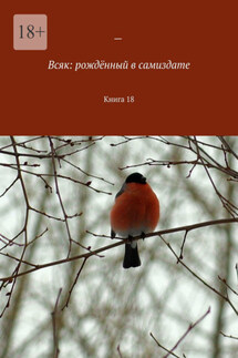 Всяк: рождённый в самиздате. Книга 18 - Мария Ярославская