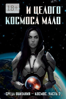 И целого Космоса мало. Среда обитания – Космос. Часть 2 - Екатерина Аристова