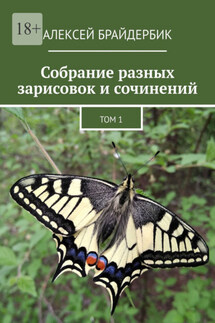 Собрание разных зарисовок и сочинений. Том 1 - Алексей Брайдербик