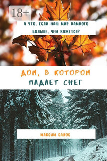 Дом, в котором падает снег - Максим Салос