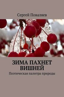 Зима пахнет вишней. Поэтическая палитра природы - Сергей Поваляев