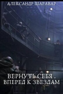 Вернуть себя. Вперед к звездам. Том 0 - Александр Setroi Шаравар