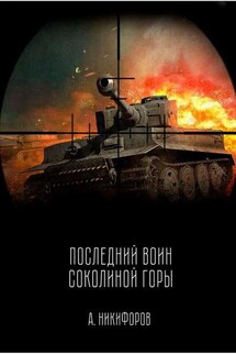 Последний воин Соколиной горы - Александр Никифоров