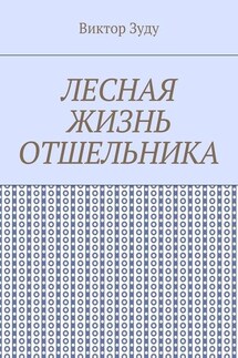 Лесная жизнь отшельника. Книга 5. Второй вариант вознесения - Виктор Зуду