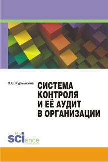 Система контроля и её аудит в организации - Ольга Курныкина