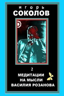 Медитации на мысли Василия Розанова. том 2 - Игорь Соколов