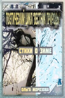 Поэтический цикл «Вестник природы». Стихи о зиме - Ольга Морозова
