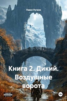 Книга 2. Дикий. Воздушные ворота