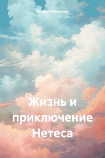 Жизнь и приключение Нетеса - Валерий Журавлёв