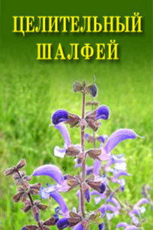 Целительный шалфей - Иван Дубровин