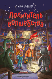Похититель волшебства - Анна Шнеллер