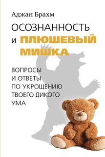 Осознанность и плюшевый мишка. Вопросы и ответы по укрощению твоего дикого ума - Аджан Брахм