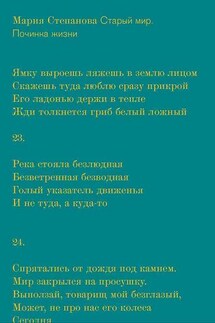 Старый мир. Починка жизни - Мария Степанова