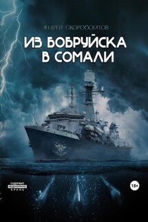Из Бобруйска в Сомали - Андрей Скоробогатов