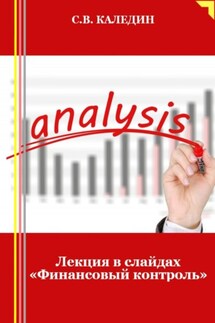 Лекция в слайдах «Финансовый контроль» - Сергей Каледин
