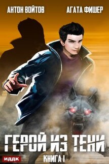 Герой из тени. Книга 1 - ИДДК