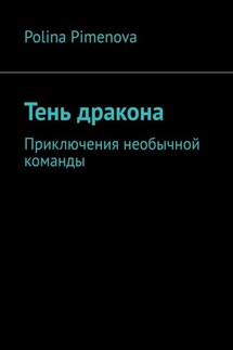 Тень дракона. Приключения необычной команды - Polina Pimenova