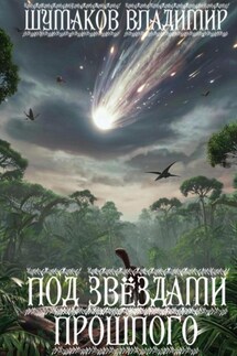 Под звëздами прошлого - Владимир Шумаков