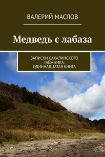 Медведь с лабаза. Записки сахалинского таёжника. Одиннадцатая книга - Валерий Маслов