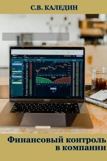 Финансовый контроль в компании - Сергей Каледин