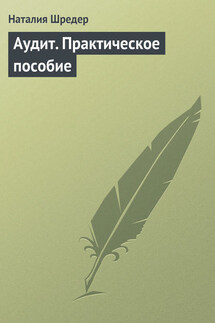 Аудит. Практическое пособие - Наталия Шредер