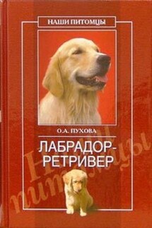 Лабрадор ретривер - Олеся Пухова