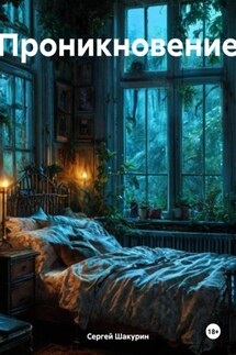 Проникновение - Сергей Шакурин